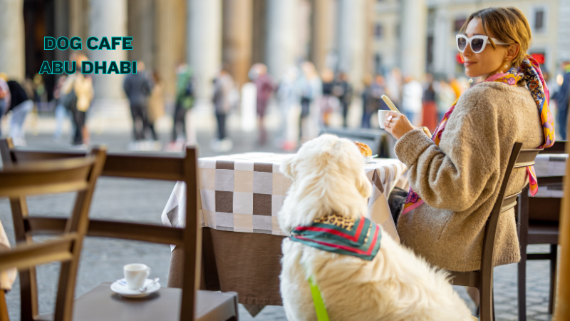 Dog enjoying time in a dog-friendly café in Abu Dhabi with owner and visitors