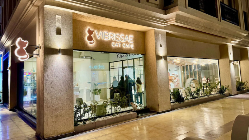 Cat Café Vibrissae at l Safa Park Complex in Dubai Creek Harbour