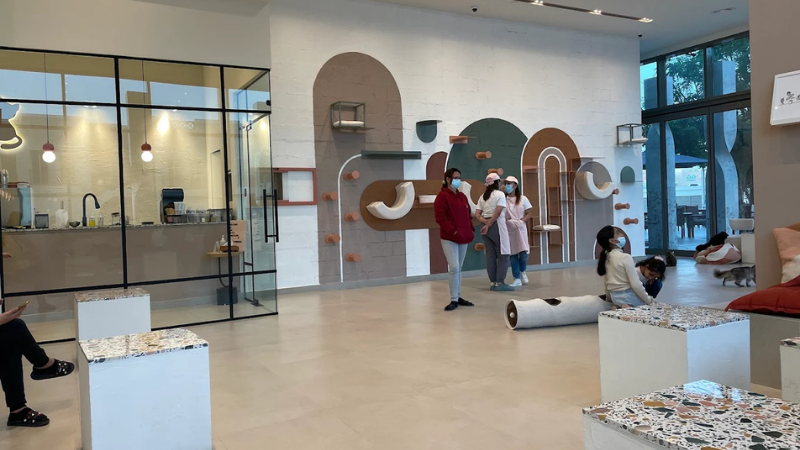 Cat Café Vibrissae interir full view with some people at Mirdif 35