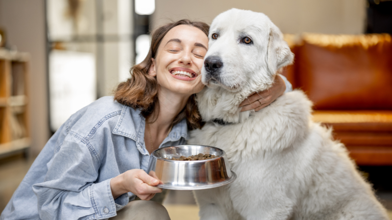 A girl with a white dog in a room, feeding the dog with a smile.