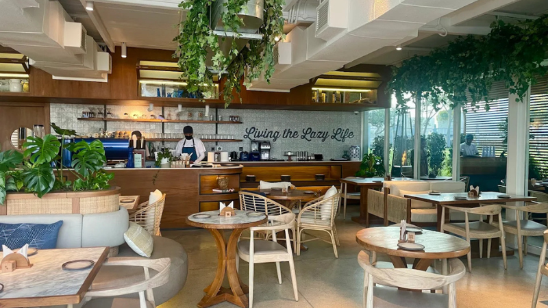 Lazy Cat  room view