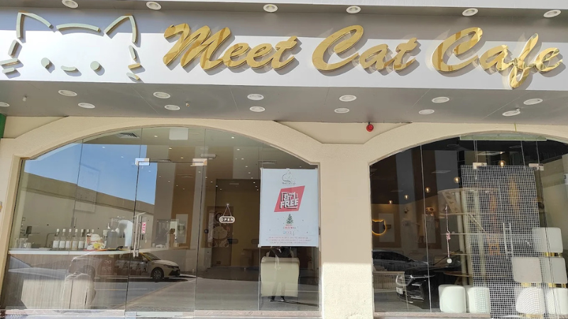 Meet Cat Cafe full view at dubai
