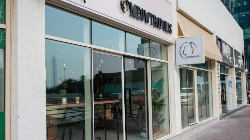 Meowtropolis Cat Café full view 