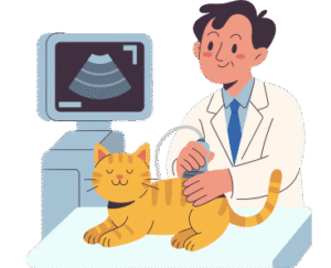 A veterinarian treating a cat in a veterinary clinic, showing professional cat health care, medical examination, and pet treatment