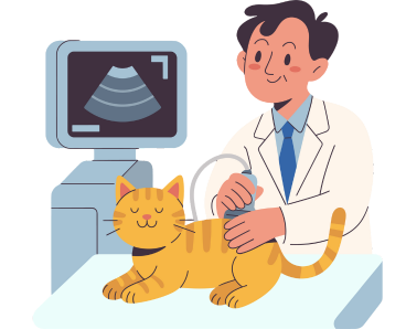 A veterinarian treating a cat in a veterinary clinic, showing professional cat health care, medical examination, and pet treatment