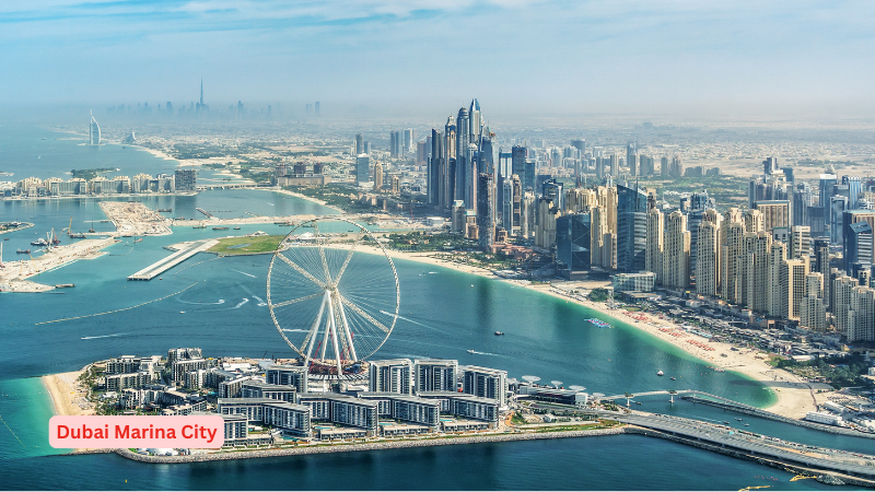 The dubai marina city