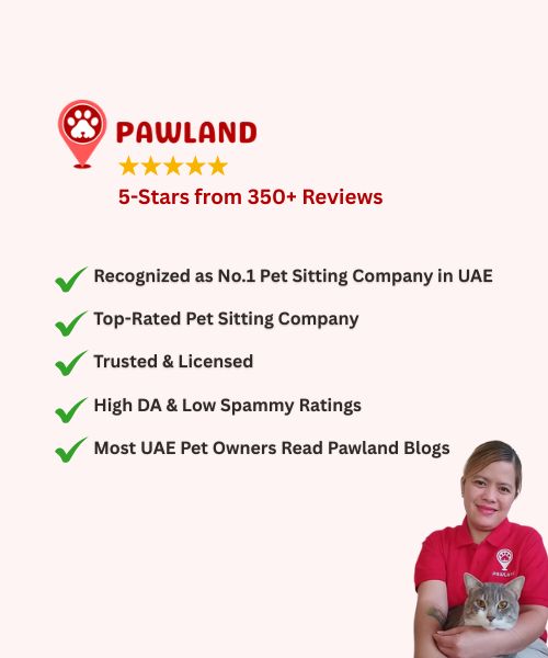 Pawland company details with a girl holding a dog