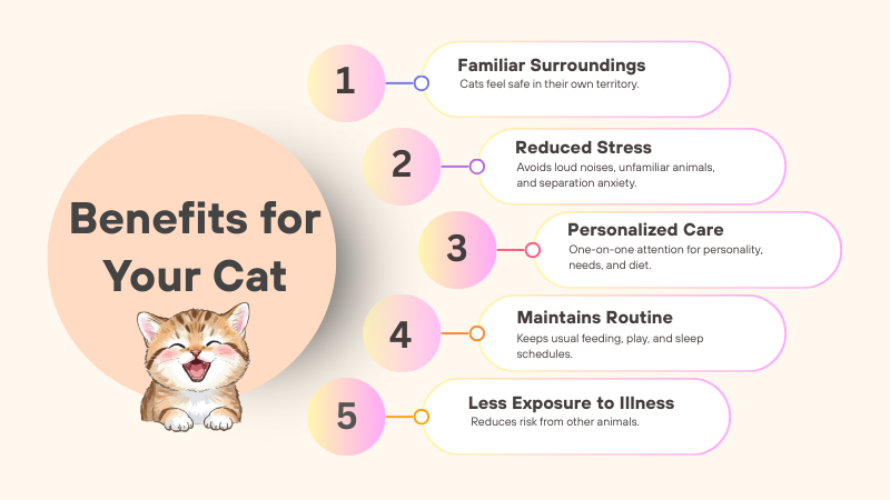 Benefits for Your Cat explained in details