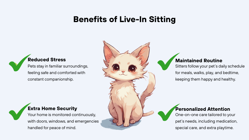 Benefits of Live-In Sitting explained details with a cat