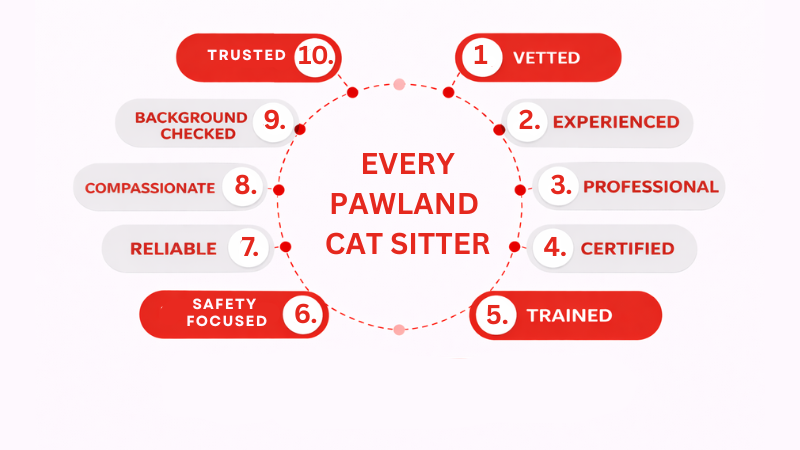 Pawland cat sitter qualifications showing skills, experience, training, trust, and cat care expertise