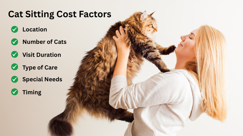 Cat sitter playing with a cat, showing cost factors: location, cats, duration, care, needs, timing