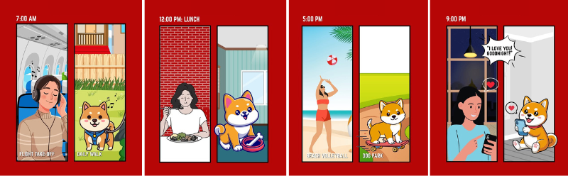 How a cat sitter spends the whole day at home when the cat owner is away