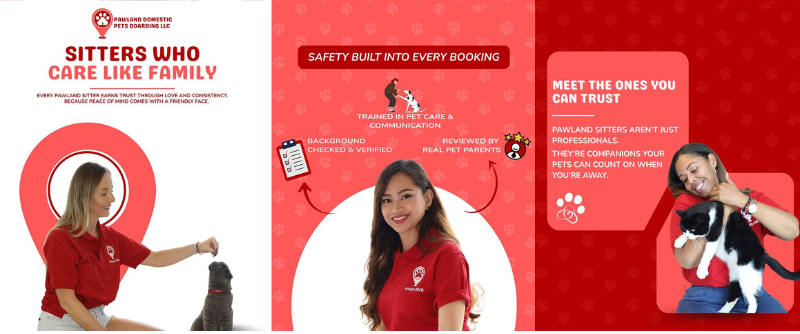 Three Pawland professional pet sitters ensuring safe and reliable cat sitting services with trusted in-home care