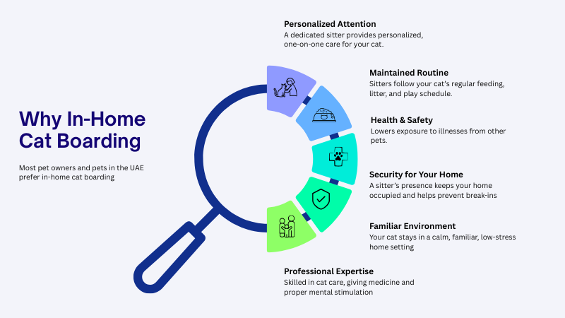 why choose in home cat boarding explaind in detials