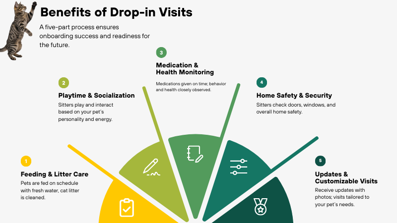 benifits dorp in visit explaind in details within 5 steps