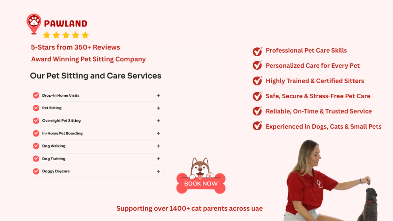 Pawland all services and a professional sitter with cat and bookin button