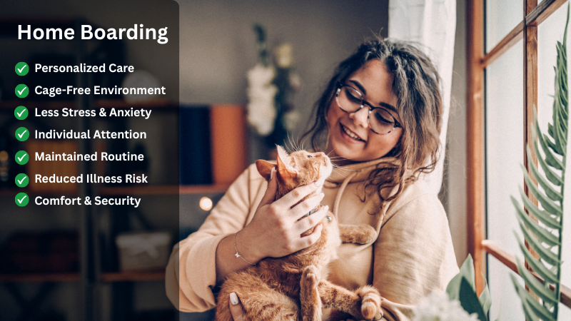 Home Boarding (Sitter's Home)