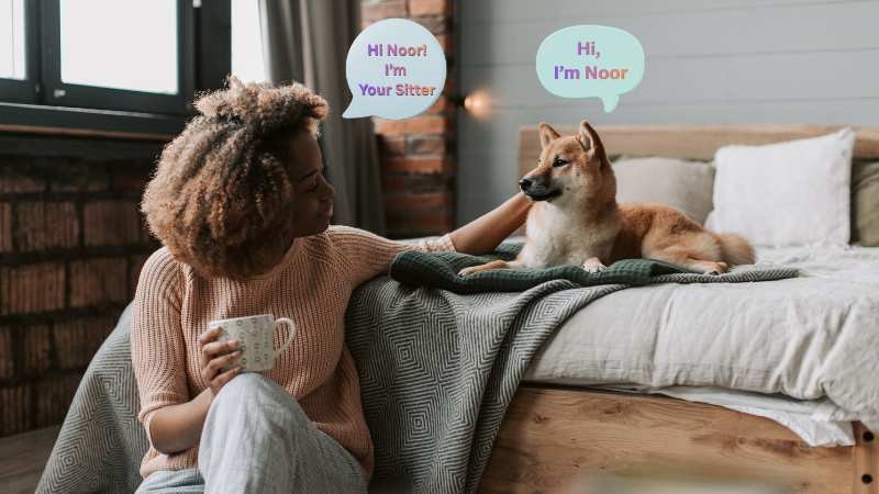 Dog sitter caring for a dog at home in a safe and comfortable environment