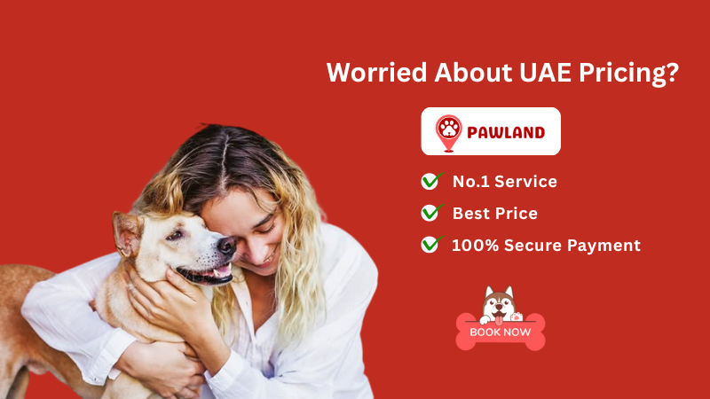 Pawland dog sitter holding a happy dog with text “No. 1 Services, Best Price”