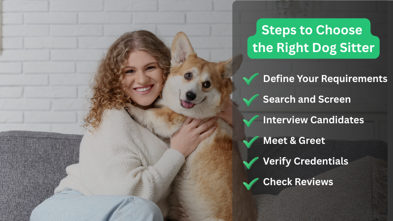 Dog sitter caring for a dog, showing 5 clear steps on how to choose the right dog sitter for your dog