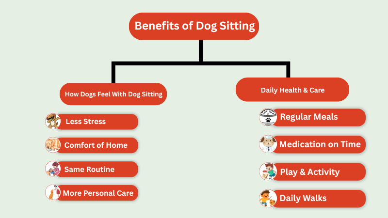 Dog sitting benefits infographic showing 10 easy steps for pet care and safety