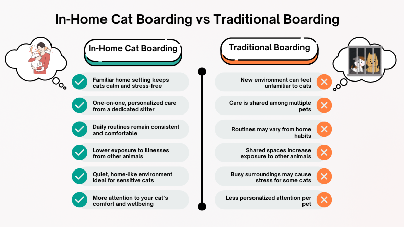 In-home cat boarding vs. traditional boarding