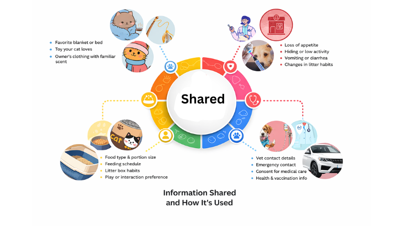 list of items needed for cat boarding at a sitter’s home