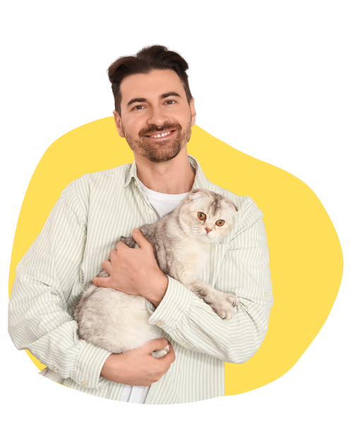 Man holding a cute white cat with yellow background