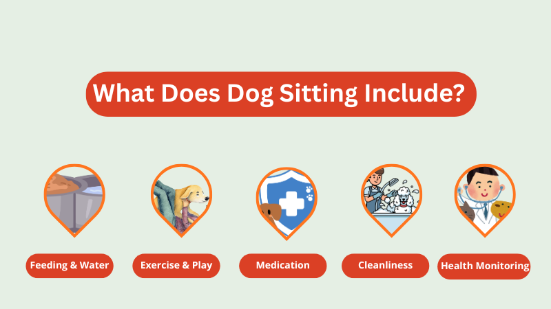 Dog sitter arriving home to start caring for the dog