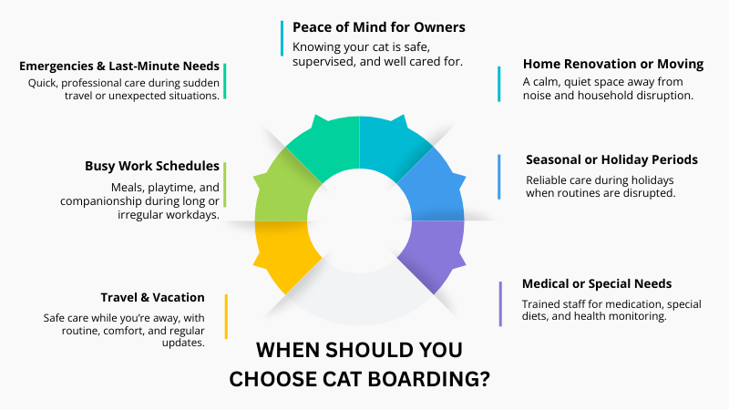 When Should I Choose Cat Boarding explained in details