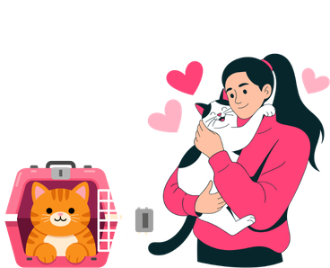 What is Cat Boarding? Everything Owners Need to Know