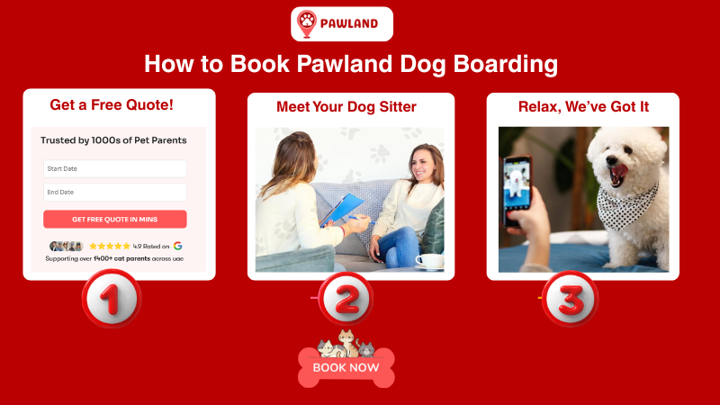 How to book Pawland dog boarding explained in three simple steps