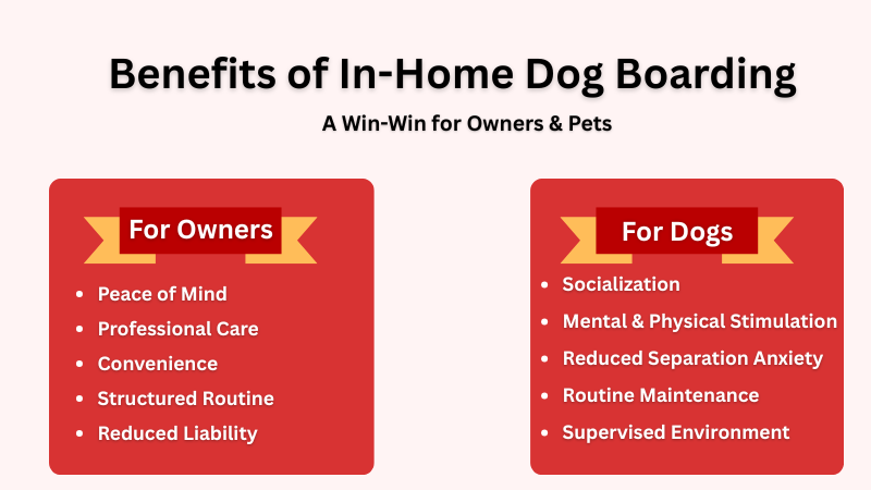 Benefits of in-home dog boarding explained in detail for both dogs and owners.