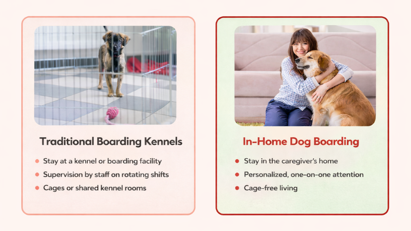 Comparison of traditional dog boarding versus in-home dog boarding explained in detail.