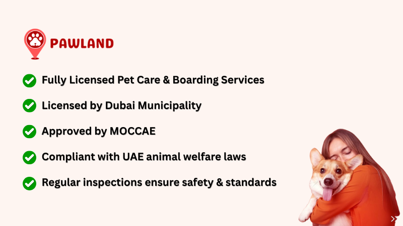 Legal and ethical aspects of dog boarding in UAE, showing Pawland as fully licensed and compliant.