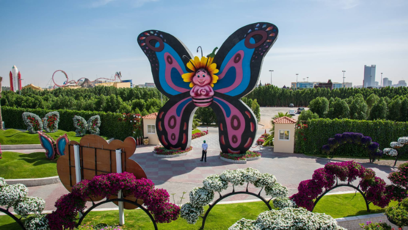 Colorful butterflies inside Dubai Butterfly Garden in Dubai