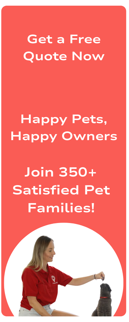 A modern banner where pawland professional a cat sitter enjoying with cat