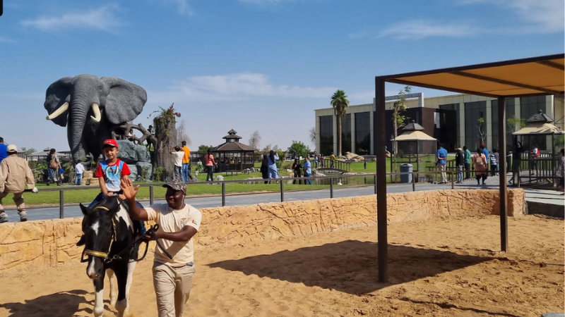 A child sitting on a horse inside The Zoo Wild Life Park Umm Al Quwain with elephants visible in the background.