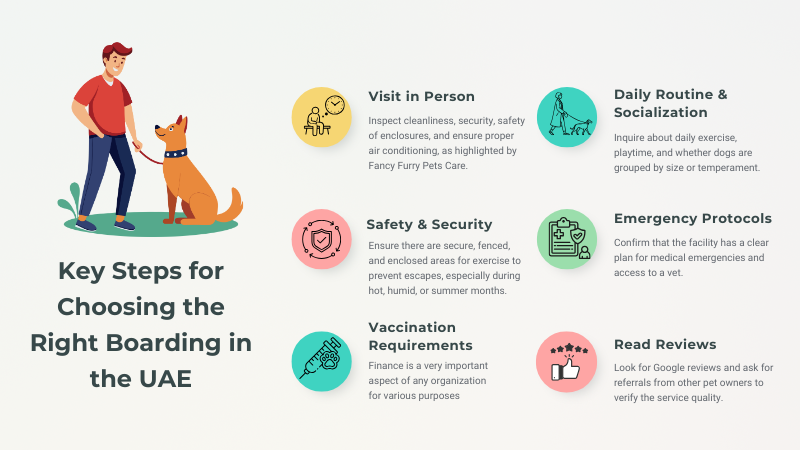 Six key steps for choosing the right dog boarding services explained in detail by text.