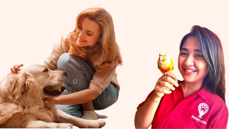 Smiling pet sitter holding colorful parrot and woman playing with Golden Retriever on red background for pet boarding services