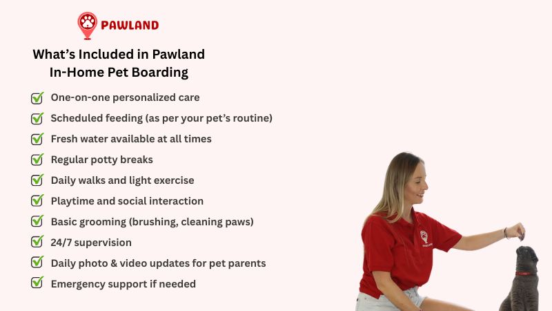 In-home pet boarding services explained with Pawland pet sitter feeding a cat indoors.