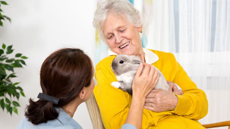 Pet sitter arriving to pick up a rabbit for in-home pet boarding service.