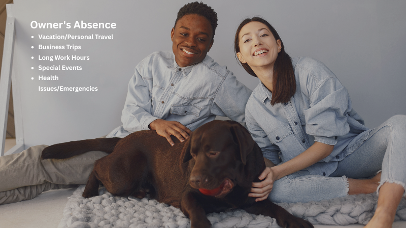 Gray dog being lovingly cuddled by its owners at home in a warm family setting.