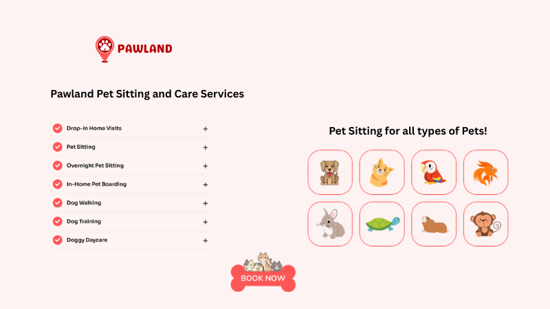 Detailed text showing Pawland pet sitting and pet care services for all pets.