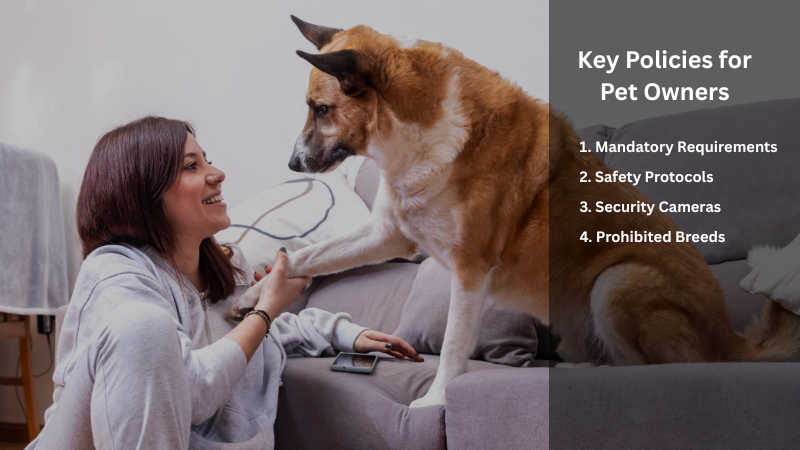 Gray dog sitting with its owner at home, showing 5 key pet owner policies in steps.