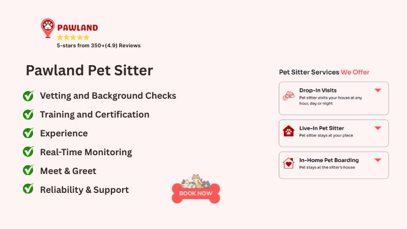 Pawland pet sitter skills listed and explained, highlighting expertise and key abilities for pet care.