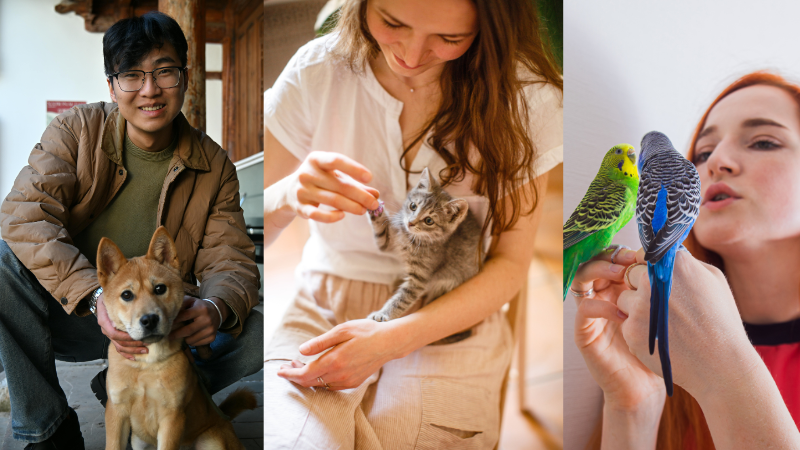Pet sitter boy with dog, girl with cat and another girl holding a bird at home