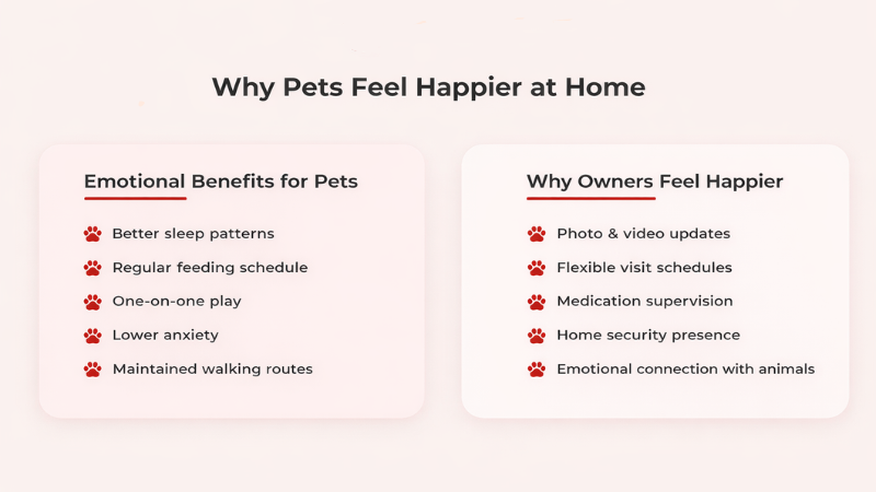 Infographic explaining why pets feel happy at home environment