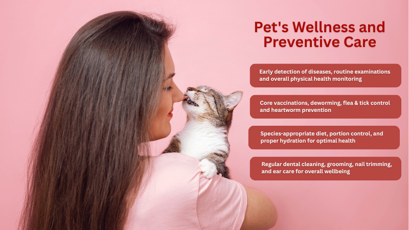 Pet sitter cuddling a cat, showing wellness and preventive care for health and happiness at home