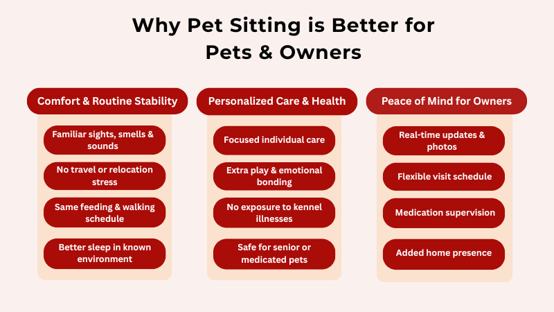 Infographic showing 3 reasons pet sitting benefits pets and owners